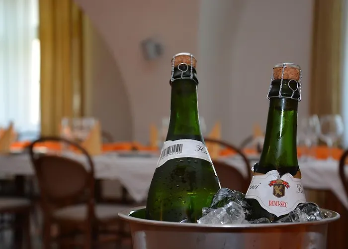 ホテル Zamek Velká Bystřice