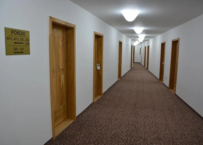 Zamek ホテル Velká Bystřice
